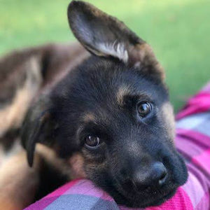 Meet your Posher, Ky